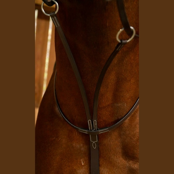 Dyon working martingale