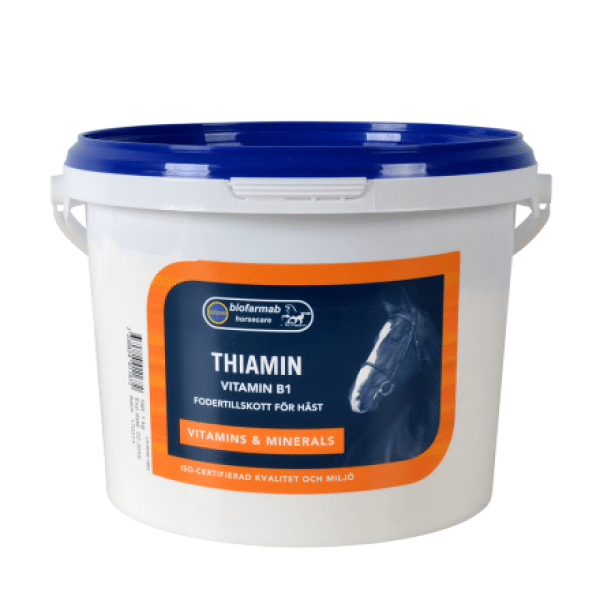 Eclipse biofarmab thiamin