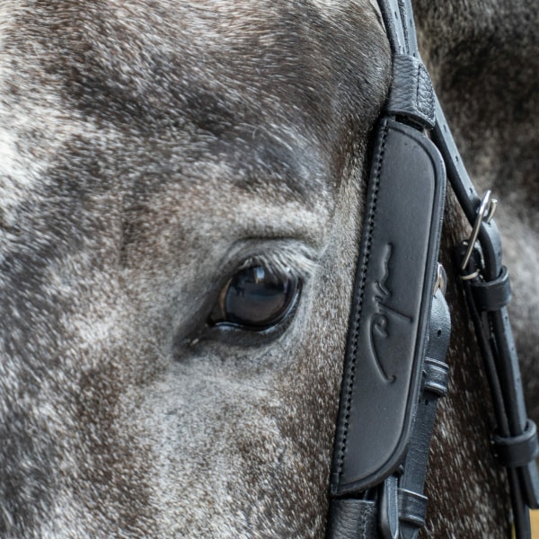 blinkers fokus till sidostycken