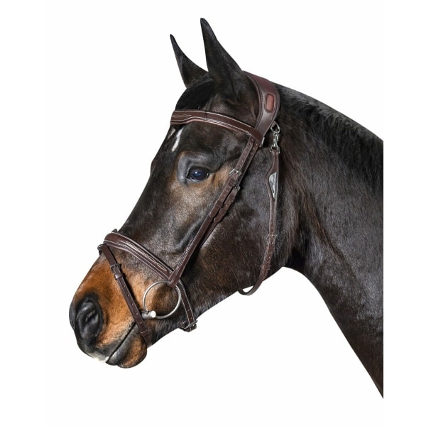 Equiline träns BJ301 bridle