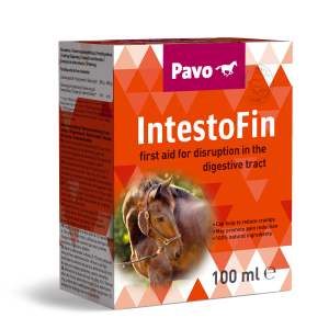 pavo intestofin