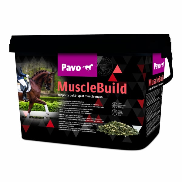 pavo tillskott musclebuild