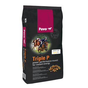 pavo triple p