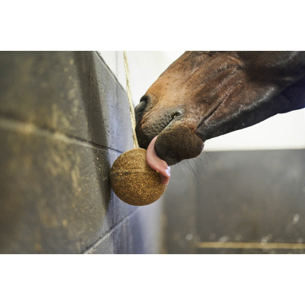 stallboll häst